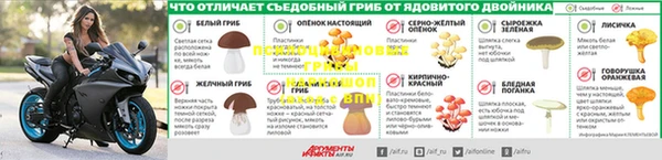 трава Беломорск