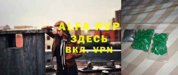 дживик Белокуриха