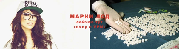 дживик Белокуриха