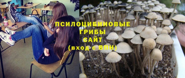 трава Беломорск