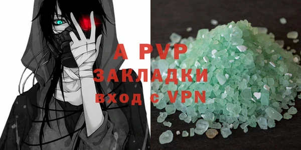 дживик Белокуриха