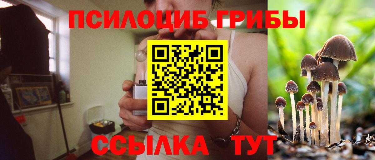 Галлюциногенные грибы прущие грибы Пенза